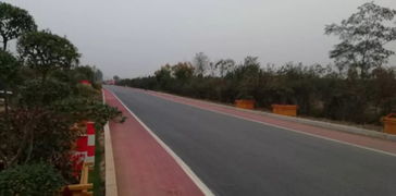 以道路建設(shè)為引擎，驅(qū)動基礎(chǔ)設(shè)施、營商環(huán)境與環(huán)保協(xié)同提升的工程管理實踐