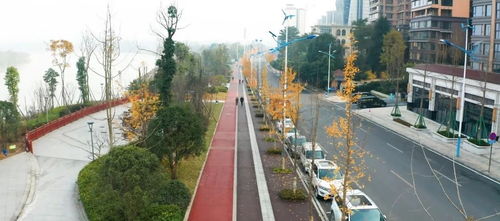 樂山高新區(qū)36條道路建設(shè)扎實推進 工程管理全面升級